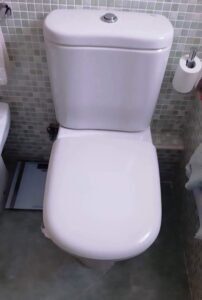 Asiento y Tapa Roca A801461004 Modelo Giralda - Opiniones y Características